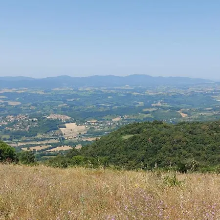 Apartamento Terre Arnolfe *